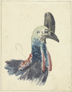 Chef for Kasuaren af Christiaan van Geelen
