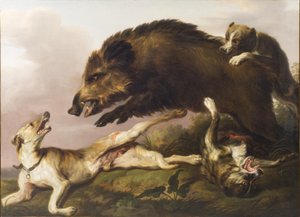 Vildsvinejagt