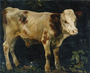 En Tyrekalv, 1876