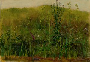 Planter på bredden