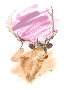 Stags Head - Cerise Sienna, 2004 (olie og conte på papir) af Christian Furr