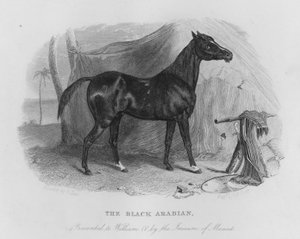Den sorte araber, præsenteret for Vilhelm IV af Imaum af Muscat (gravering)