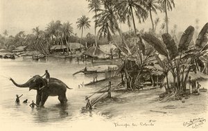 Vask en elefant i floden, Colombo, Ceylon, 1898.