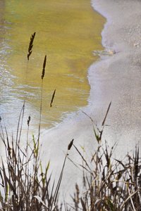 Golden Shore-rør af Christina Sillen
