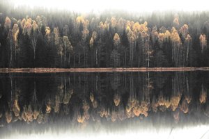 Tåget efterårsrefleksion af Christina Sillen