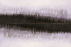 Tåget birk i spejlbilledet