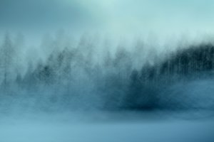 Den tågede blå skov