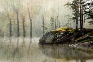 Tågeskovssøen af Christina Sillen