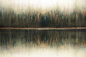 Refleksioner i den tågede skov af Christina Sillen