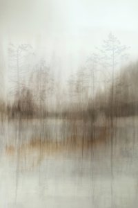 Refleksioner fra den tågede skov af Christina Sillen