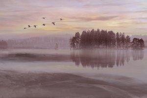 Fugleflugt over Misty Lake af Christina Sillen