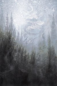 Tåget vinterskov af Christina Sillen