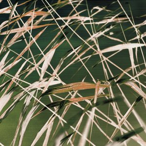 "Whispering Reeds" – Resumé af Christina Sillen