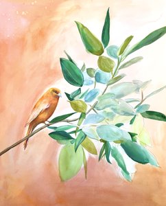 Orange Bird-afdelingen af Christine Lindstrom