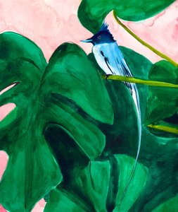 Tropisk fugl på et Monstera-blad