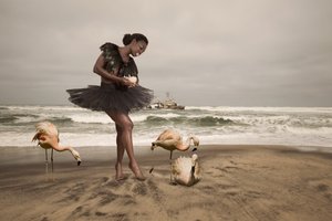 Ballerina og strandflamingoer af Christine von Diepenbroek