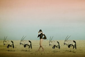 Ørkenvandring med oryxer af Christine von Diepenbroek