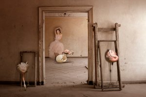 Flamingo-balletdrømmen af Christine von Diepenbroek
