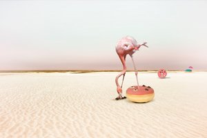Pink Flamingo Donut-drøm