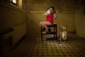 En finurlig stueserenade af Christine von Diepenbroek