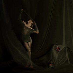 Elegance i gennemsigtigt stof af Christine von Diepenbroek