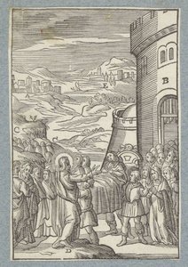 Opdragelse af enkens søn fra Nain af Christoffel van Sichem (II)