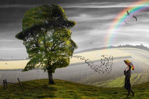 Surrealistisk regn og håb af Christophe Kiciak