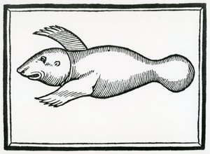 En fisk kaldet 