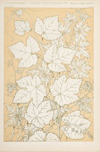 Blade fra naturen, 1868 (chromolitho) af Christopher Dresser