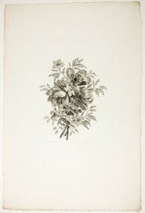 Buket med valmuer, fra samling af forskellige blomsterbuketter, opfundet og tegnet af Jean Pillement og graveret af P. C. Canot af Christopher Norton