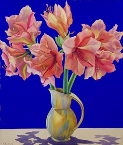 Amaryllis i en kande, 2007 (wc og gouache på papir)