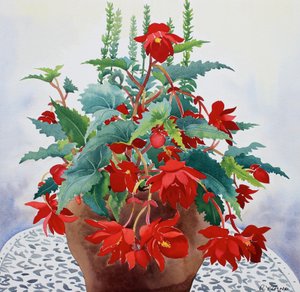 Begonia (akvarel på papir) af Christopher Ryland