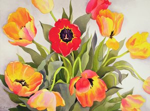 Orange og røde tulipaner (wc) af Christopher Ryland