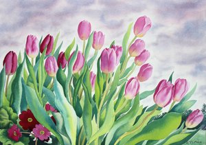 Tulipaner ved vindue (akvarel på papir)