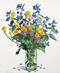 Vilde blomster med Alkanet, 2021 (akvarel på papir) af Christopher Ryland