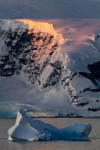 Golden Antarctic Peak af Chuanxu Ren