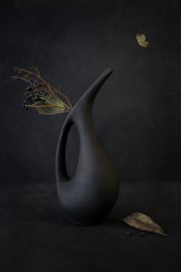  af Cicek Kiral