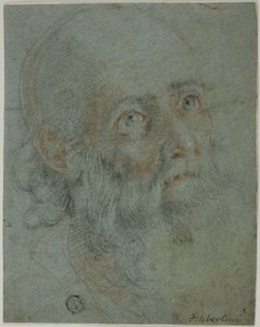 Leder af en skægget mand, ser op til højre: Studie for Saint Catherine of Alexandria, der disputerer med de hedenske præster af Cigoli