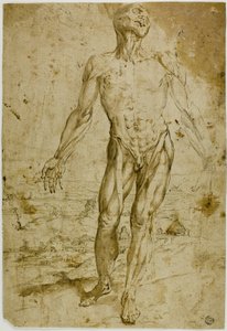 Écorché foran landskab (recto); Skitser af stående mandlig nøgen, siddende barn, bøjet kvinde (verso) af Circle of Titian