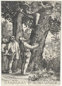 Vogelnestrover