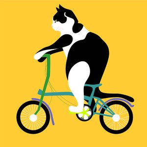 Kat på en Brompton-cykel