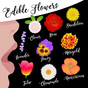 Spiselige Blomster af Claire Huntley