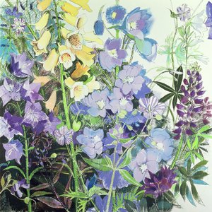 Delphiniums og Foxgloves