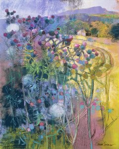 The Wild Beauty of Clee af Claire Spencer
