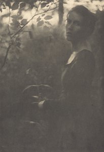 Edge of the Woods, Aften, 1900.