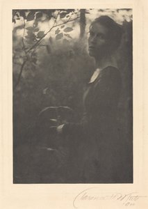 Kanten af skoven, aften,1900 (foto)