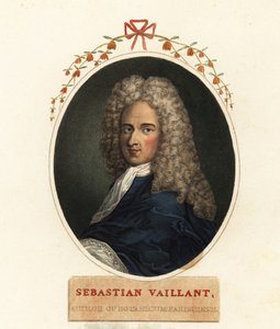 Portræt af Sebastian Vaillant, fransk botaniker