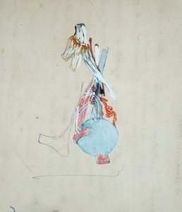 Nervesystemet i hovedet på en kat, 25. maj 1842 (blyant og akvarel på papir) af Claude Bernard
