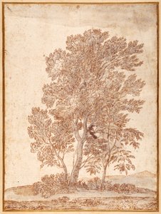 Tre træer (pen og brunt blæk med grå vask på papir) af Claude Lorrain