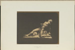 Fuld faun